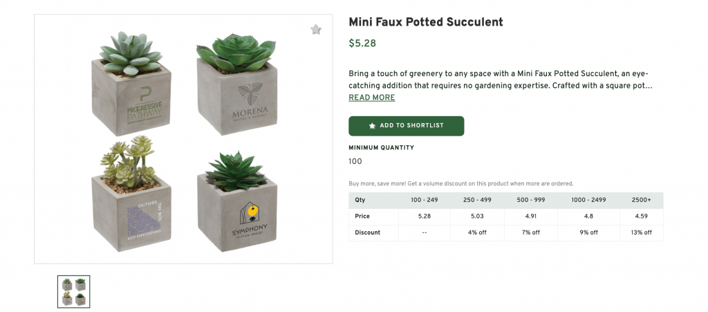 Succulent Plants Pots