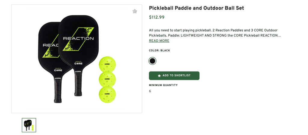 Pickleball Paddle and Outdoor Ball Set