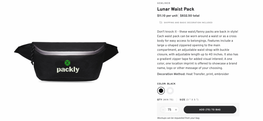 Waist Pack