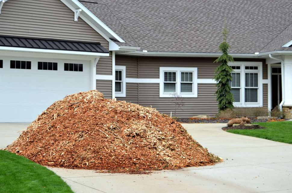 Landscaping Consultation