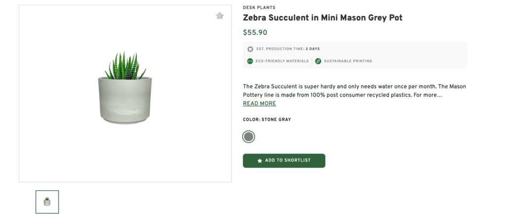 Live Green: Desk Plants & Wellness-Focused Succulents