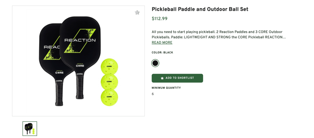 Pickleball Paddle and Outdoor Ball Set