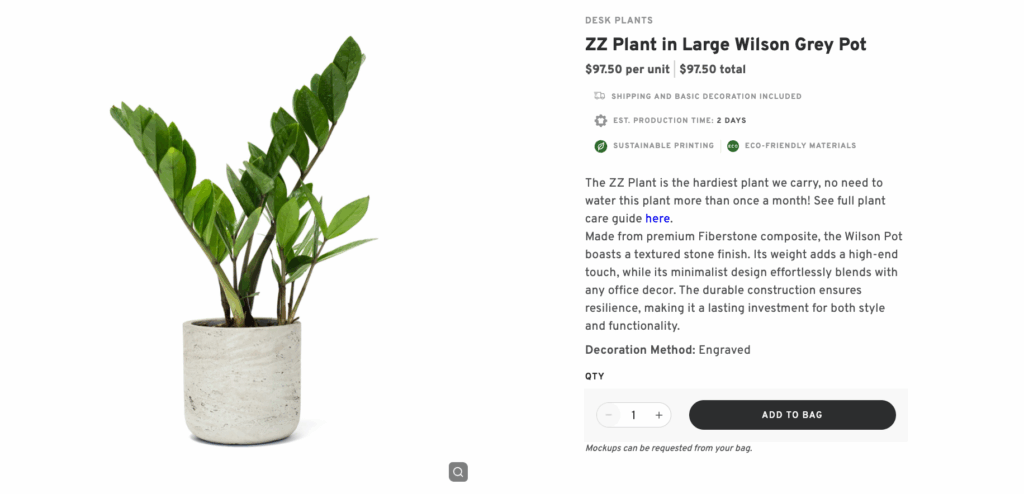 Desk Plants or Succulent Kits