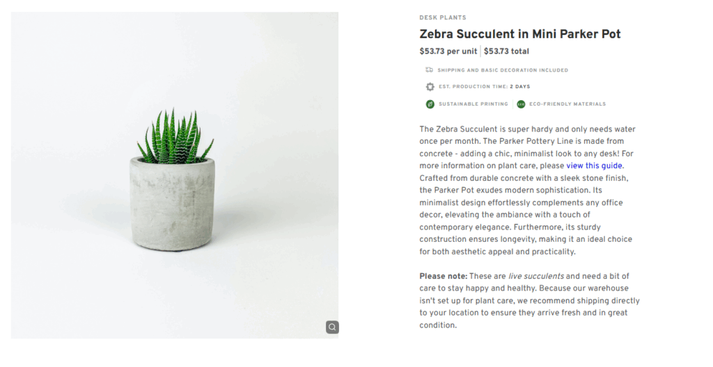 Zebra Succulent in Mini Parker Pot