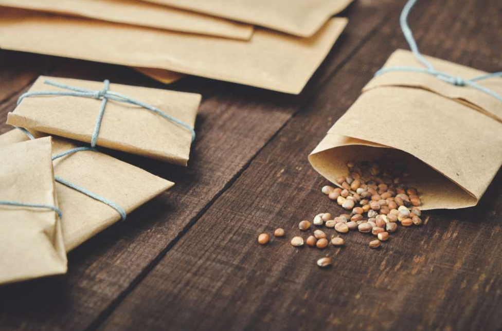 Plantable Seed Paper