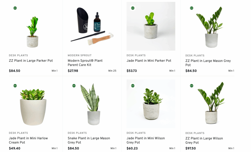 Desk Plant Kit