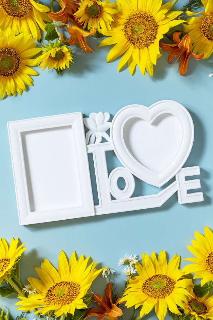Photo frame, sunflower, lily and chamomile photo frame