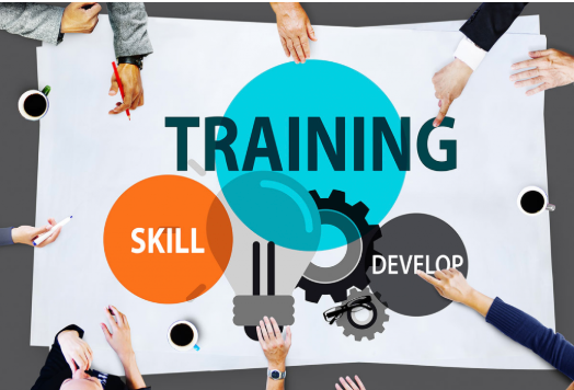 Learning and Development Opportunities