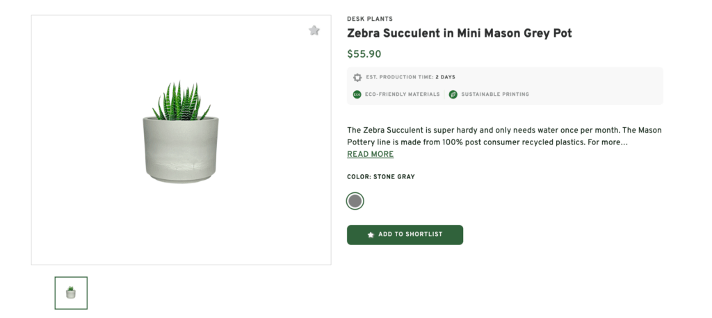 Desk Plants- Unique Corporate Gift Idea