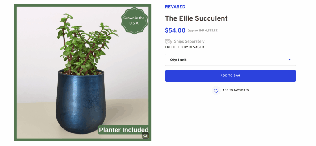 Ellie Succulent