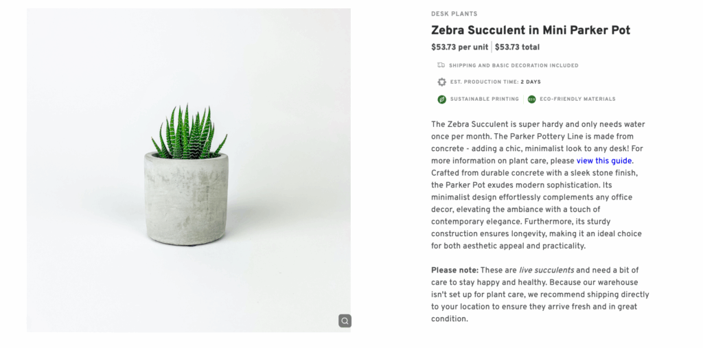 Mini Succulent Desk Plants