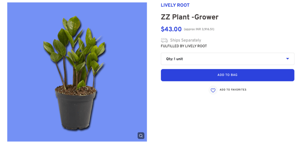 Branded Desk Plants