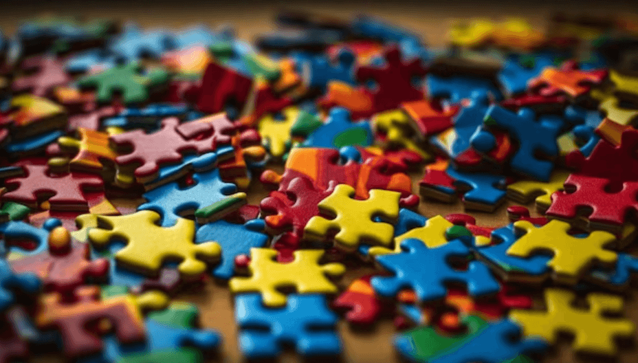 The Autism Puzzle Piece