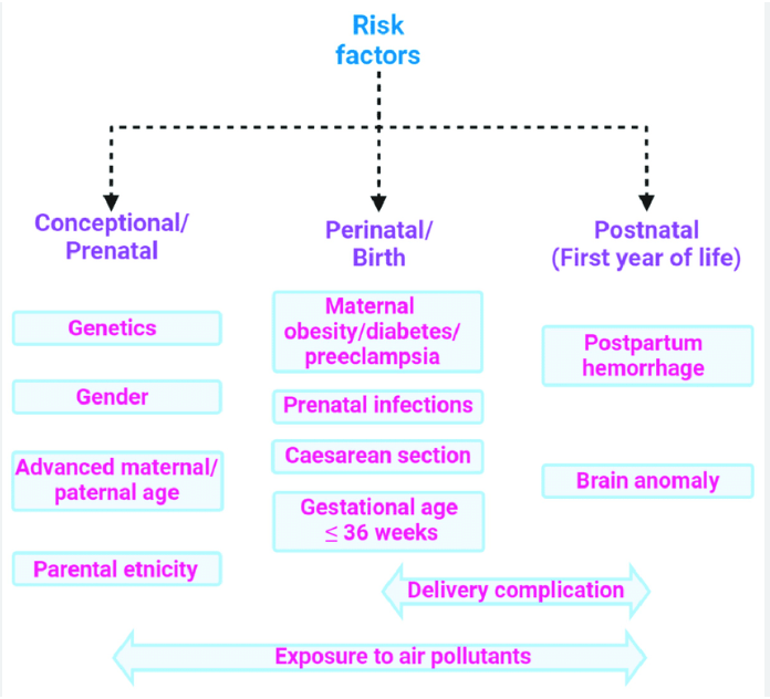 Understanding and Addressing Risk Factors Associated with Autism