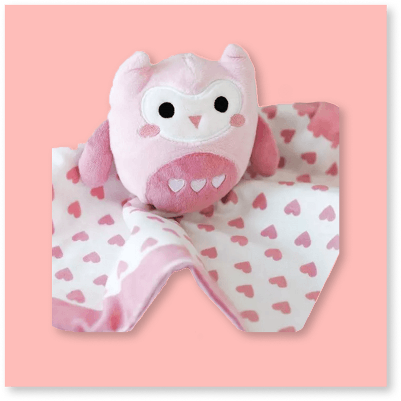 Lovely Owl Blanket for Holidays