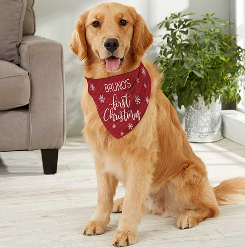Pet Bandanas
