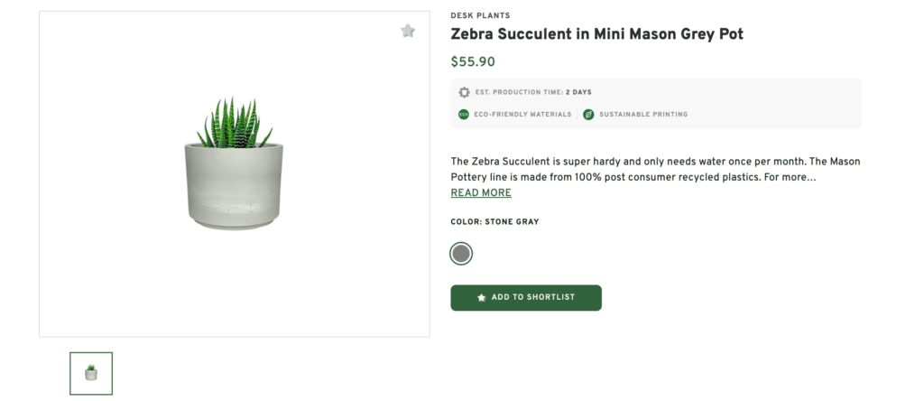 Succulent Plants Pots